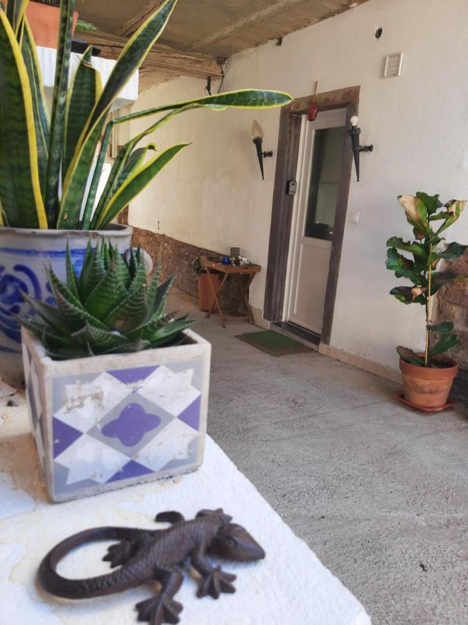 Studio Tout Confort 2 Personnes Au Coeur De L'Alsace Wolxheim Dış mekan fotoğraf