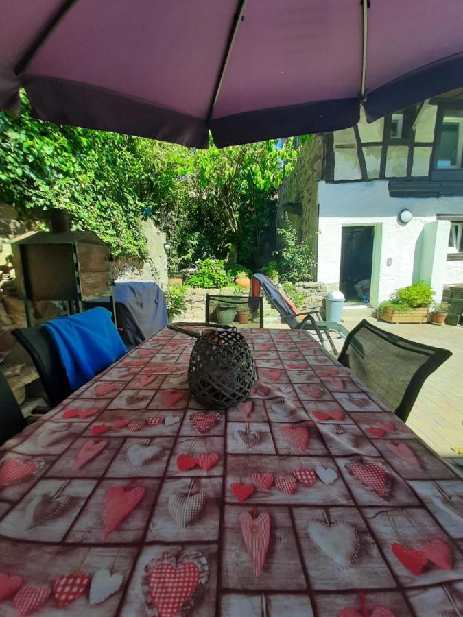 Studio Tout Confort 2 Personnes Au Coeur De L'Alsace Wolxheim Dış mekan fotoğraf