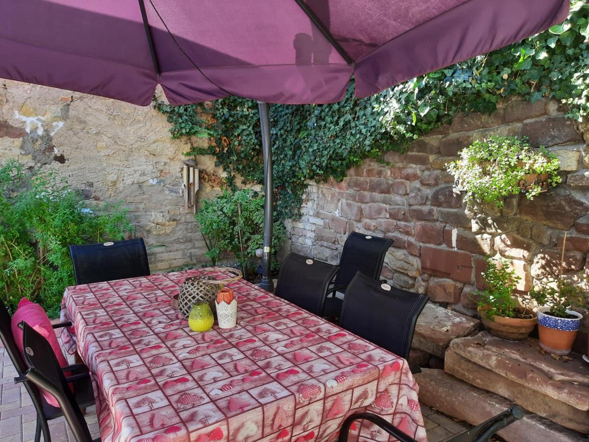 Studio Tout Confort 2 Personnes Au Coeur De L'Alsace Wolxheim Dış mekan fotoğraf
