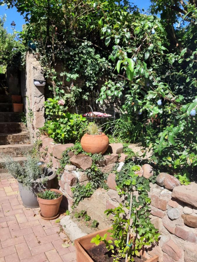 Studio Tout Confort 2 Personnes Au Coeur De L'Alsace Wolxheim Dış mekan fotoğraf
