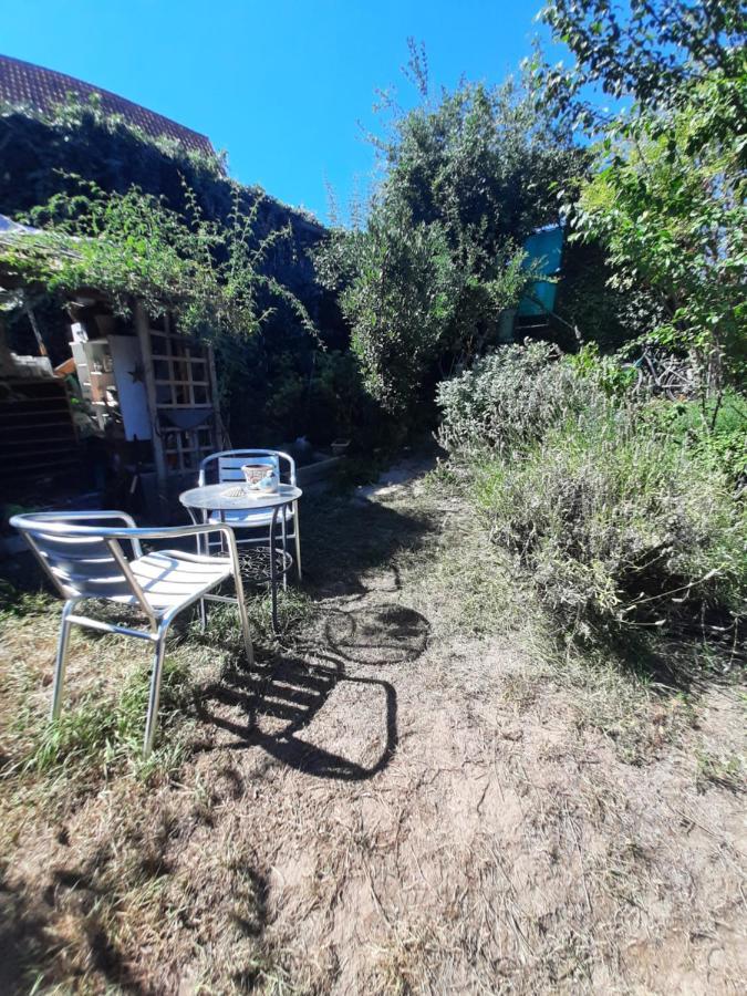 Studio Tout Confort 2 Personnes Au Coeur De L'Alsace Wolxheim Dış mekan fotoğraf