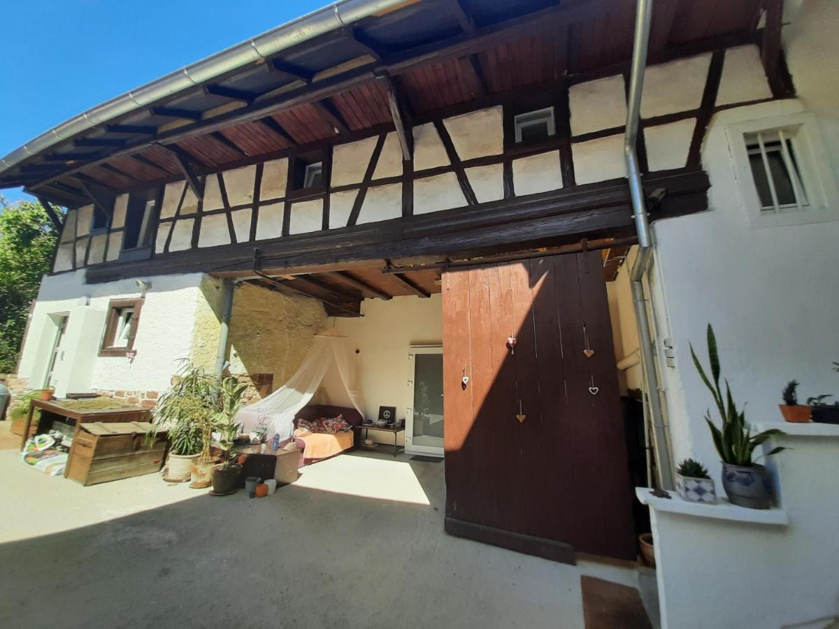 Studio Tout Confort 2 Personnes Au Coeur De L'Alsace Wolxheim Dış mekan fotoğraf