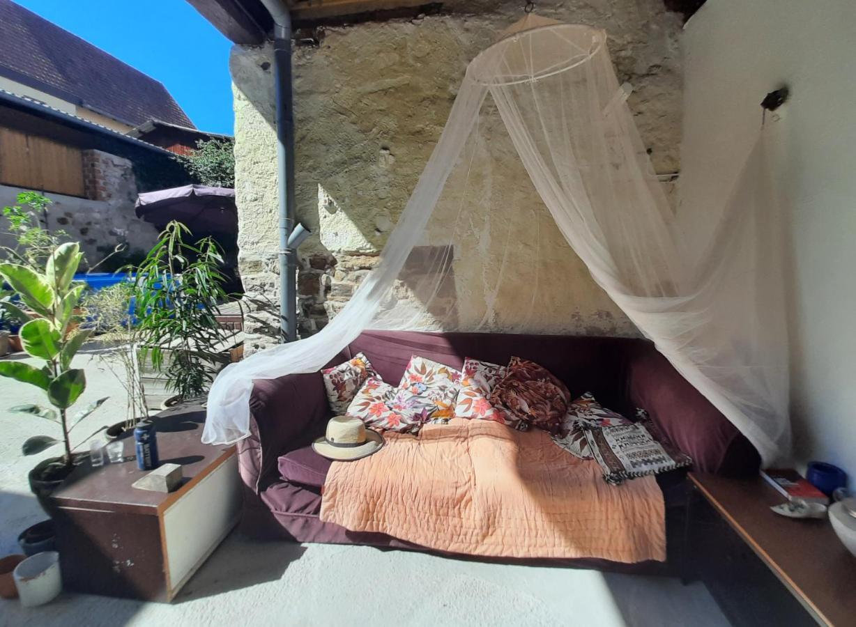 Studio Tout Confort 2 Personnes Au Coeur De L'Alsace Wolxheim Dış mekan fotoğraf