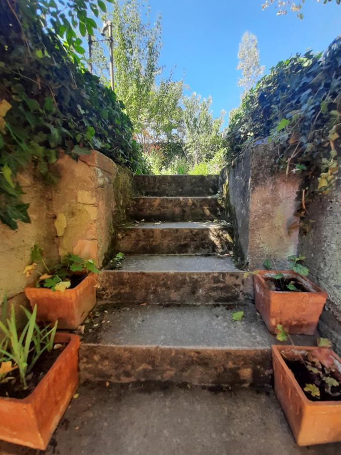Studio Tout Confort 2 Personnes Au Coeur De L'Alsace Wolxheim Dış mekan fotoğraf