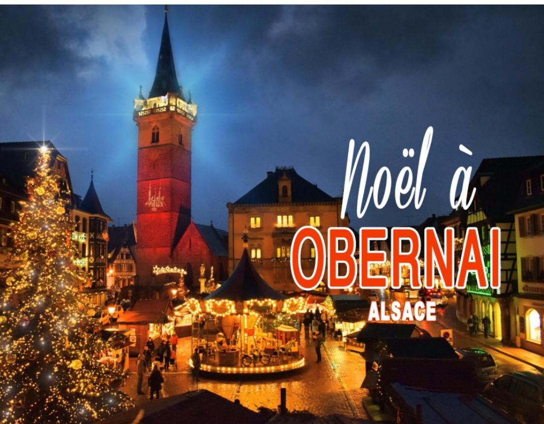 Studio Tout Confort 2 Personnes Au Coeur De L'Alsace Wolxheim Dış mekan fotoğraf
