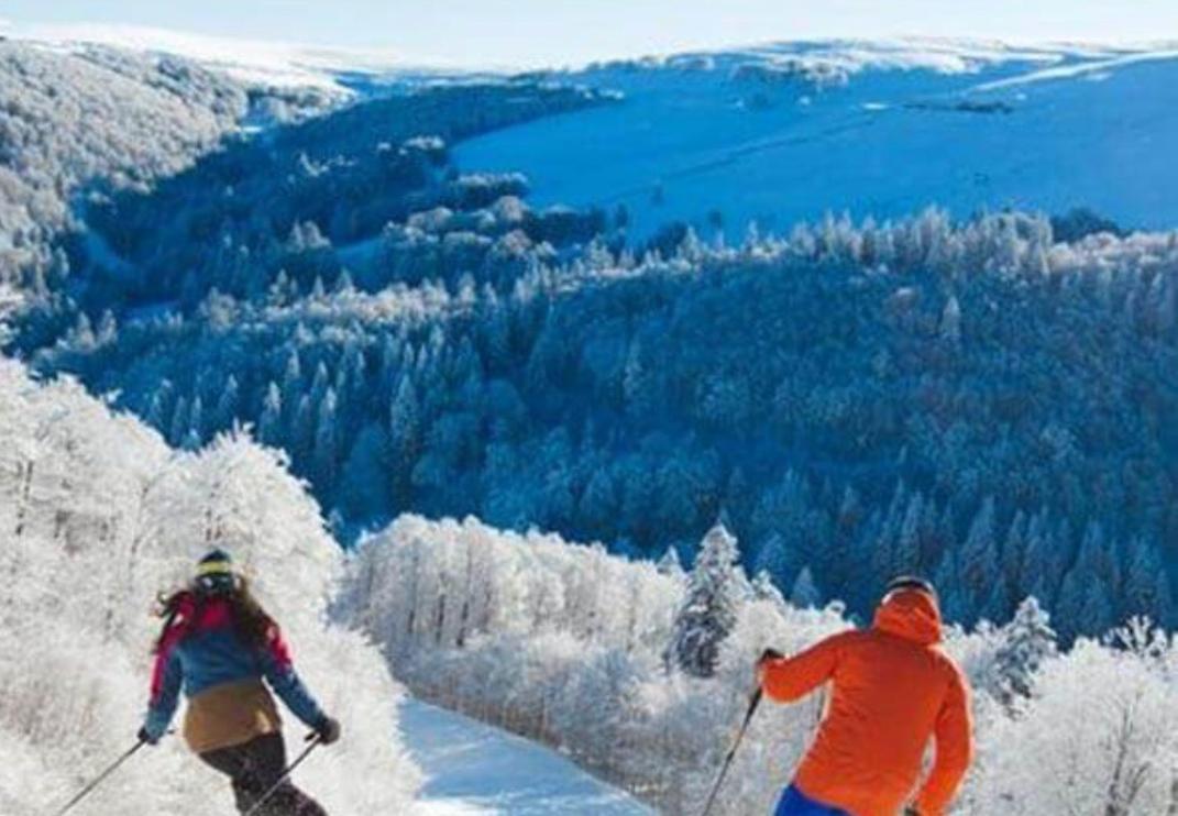 Studio Tout Confort 2 Personnes Au Coeur De L'Alsace Wolxheim Dış mekan fotoğraf