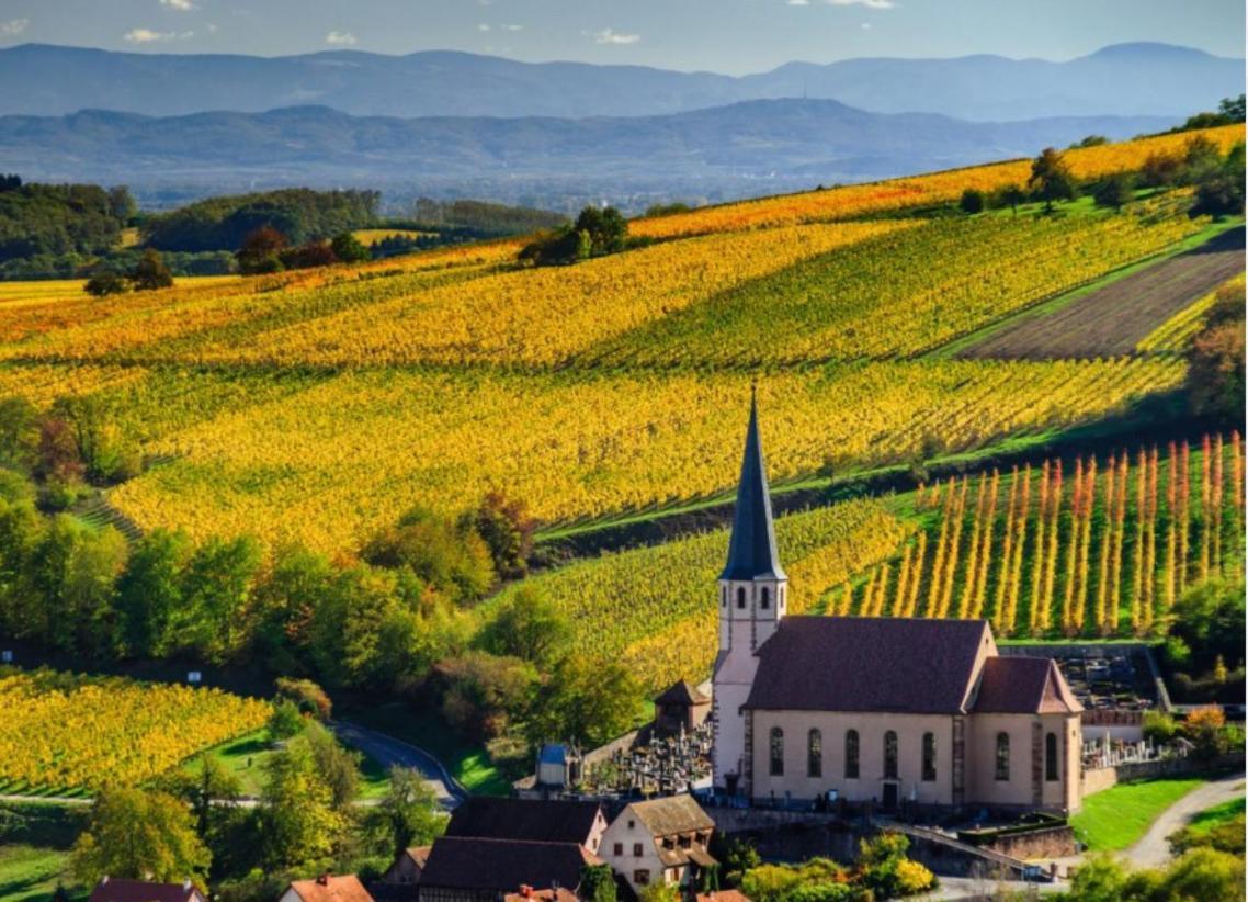 Studio Tout Confort 2 Personnes Au Coeur De L'Alsace Wolxheim Dış mekan fotoğraf