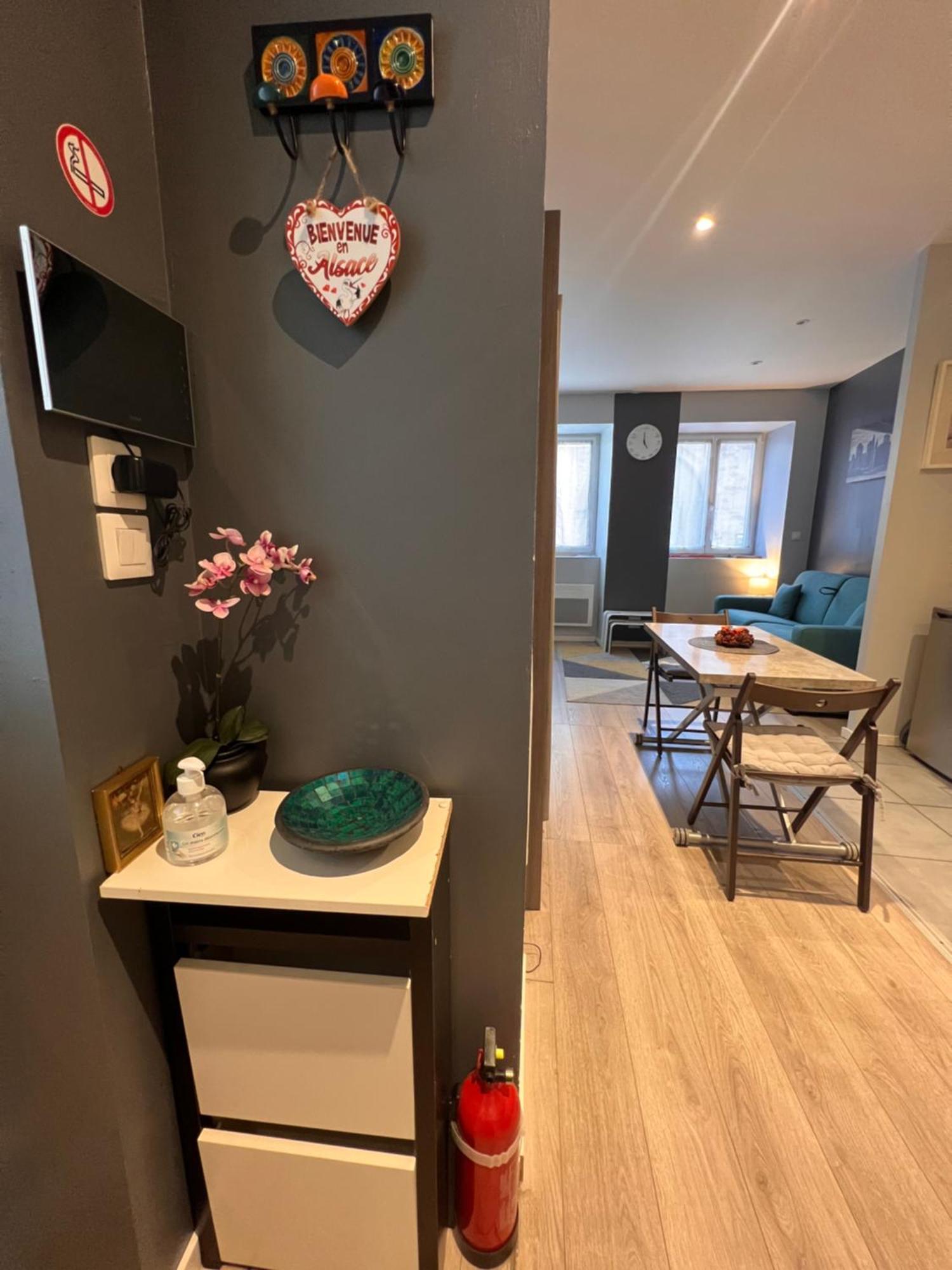 Studio Tout Confort 2 Personnes Au Coeur De L'Alsace Wolxheim Dış mekan fotoğraf