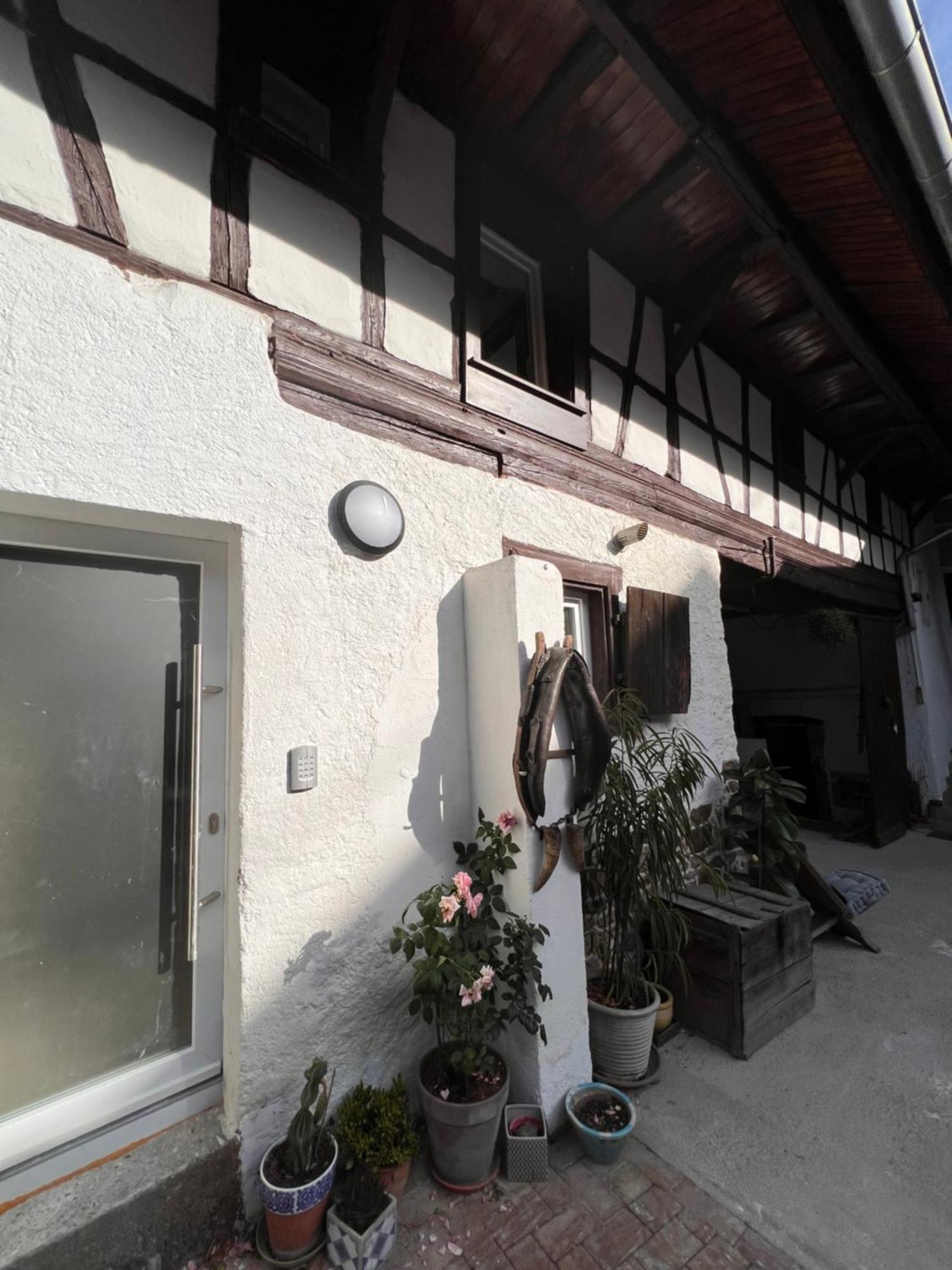 Studio Tout Confort 2 Personnes Au Coeur De L'Alsace Wolxheim Dış mekan fotoğraf
